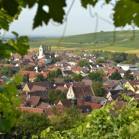 Ferienwohnung Schneckental Pfaffenweiler Екстер'єр фото