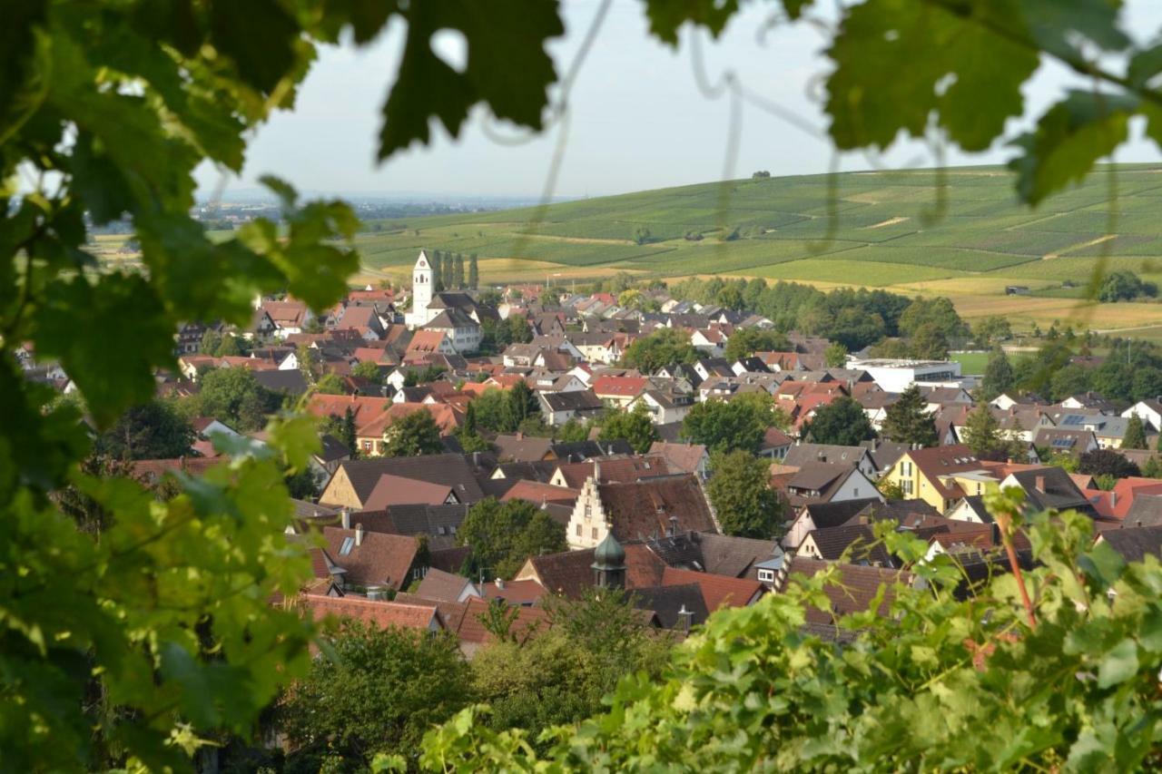 Ferienwohnung Schneckental Pfaffenweiler Екстер'єр фото